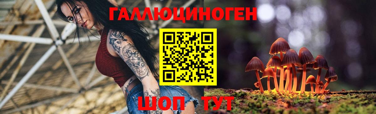 как найти закладки  Псилоцибиновые грибы ЛСД  Вход с VPN  Ревда 